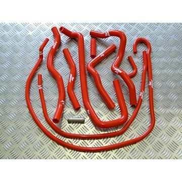 Ford Fiesta ST150 Pre-facelift (2004-2006) Roose Motorsport Ancillary Silicone Hose Kit